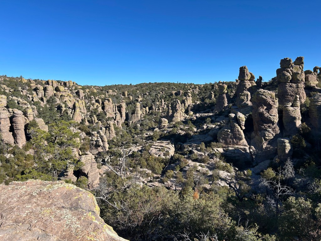 Saguaro National Park & Chiricahua National&nbsp;Monument
